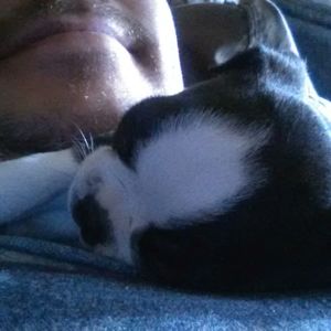 Meet your Posher, Joe